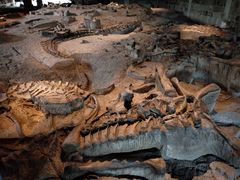 -自贡恐龙博物馆