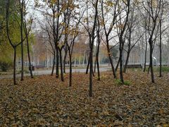 -长春公园(普阳街道)