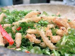 竹虫-慢丽江·云南野生菌土鸡锅(西山店)