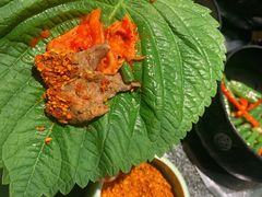 烤调味牛排-韩景台烧烤城(潘家园店)
