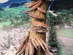 -海南槟榔谷黎苗文化旅游区