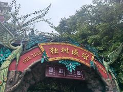 -独树成林