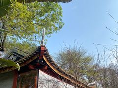-顺峰山公园