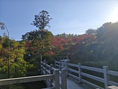 -广州市帽峰山景区