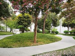 -唐城墙遗址公园