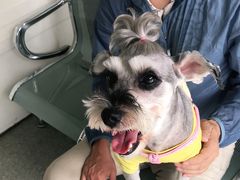 -安安宠医·安宠宠物医院