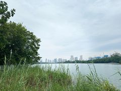 -南宁南湖公园