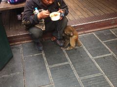 -双桂坊美食街(南大街商业步行街店)