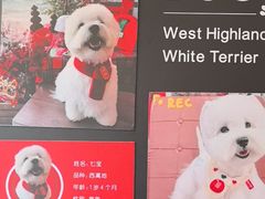 -海石湾餐厅·清真Traveler(滨江道店)