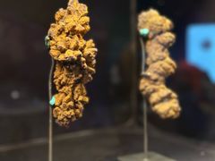 -正佳自然科学博物馆