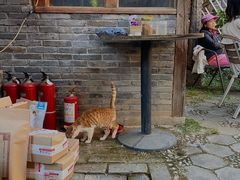 -田德能咖啡博物馆