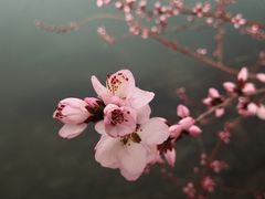 -颐和园