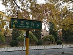 -三里屯东五街银杏大道