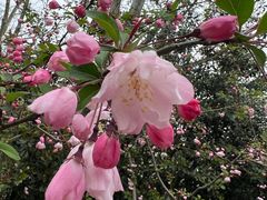 -上海滨江森林公园