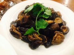 -侬佳蒸菜馆(听潮店)