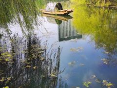 -月亮湾湿地公园
