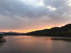 -西湖外事游船(花港观鱼码头)