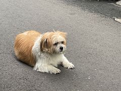 -南门黄孃甜不辣