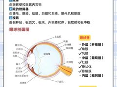 -优视觉视光中心•青少年近视防控(新世界中心写字楼店)