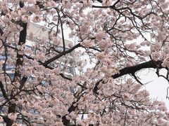 -红星桥(地铁站)