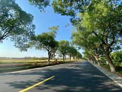 -上海长兴岛郊野公园