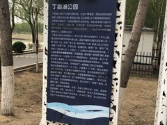 -丁香湖公园
