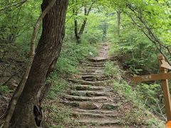 -本溪汤沟绿石谷森林公园