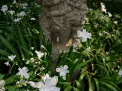 -西安关中民俗艺术博物院