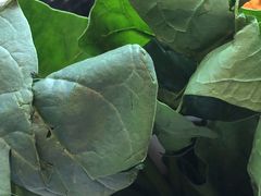 -钱小奴创意自助餐厅·原切谷饲安格斯畅吃(苏州昆山招商花园城店)