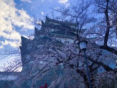 -名古屋城