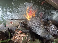 -三苏祠