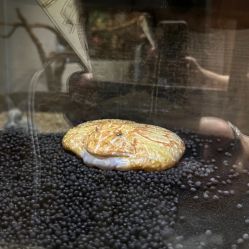 -Zoolung Zoolung动物主题公园(海信广场店)