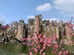 -秀丽东方