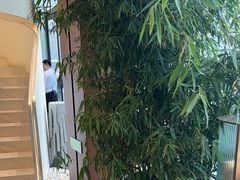 -大舜国风· 和牛火锅(绮霞街店)