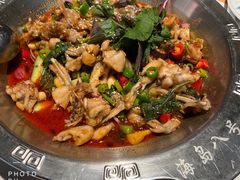 青椒紫苏牛蛙-海岛八号龙虾烧烤田鸡(蓝天路总店)