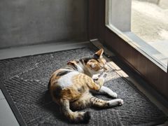 -Again Coffee Roaster(香蜜湖店)