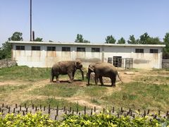 -西安秦岭野生动物园