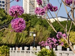 -南宁南湖公园