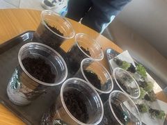 -励步儿童成长中心·英语启蒙·剑桥考级·KET(八佰伴校区)