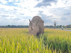-嘉北郊野公园