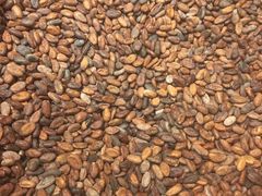 景点-歌斐颂巧克力小镇