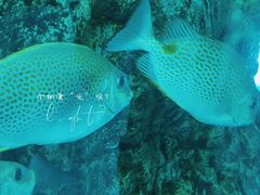 -乐从天佑城海洋馆