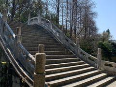 -深圳仙湖植物园
