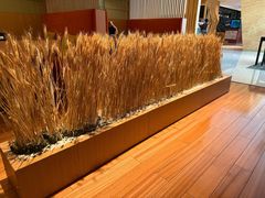 -西村日本料理(香格里拉饭店)