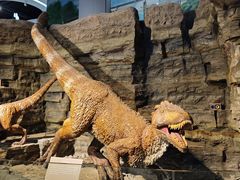 -辽宁古生物博物馆