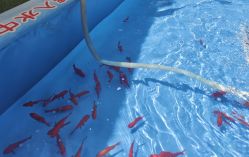 -萌宠亲子动物乐园(槐房万达店)