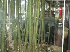 -新竹里馆·花园餐厅(兴苑路店)