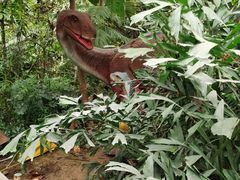 -呀路古热带植物园