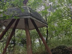 -九曜山
