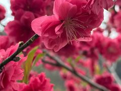 -会稽山峡洞漂流-上青古道